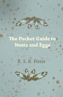 The Pocket Guide to Nests and Eggs 1447410416 Book Cover