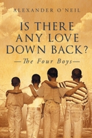 Is There Any Love Down Back?: The Four Boys 142081706X Book Cover