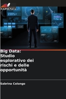 Big Data: Studio esplorativo dei rischi e delle opportunità 6205846276 Book Cover