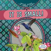 It Is Small! 1538284901 Book Cover