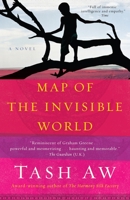 Map of the Invisible World 0385527977 Book Cover