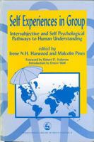 Self Experiences in Group: Intersubjective and Self Psychological Pathways to Human Understanding 1853025976 Book Cover