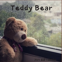 Teddy Bear 2021 Wall Calendar: Teddy Bear 2021 Calendar, 18 Months B08PM453W6 Book Cover