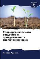 ???? ????????????? ???????? ? ?????????????? ??????????? ???? (Russian Edition) 6207606744 Book Cover