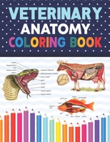 Veterinary Anatomy Coloring Book: Simple Animal Body Parts For Children. Vet tech coloring books. Dog Cat Horse Frog Bird Anatomy Coloring book. Vet t B08NYKSJ9X Book Cover