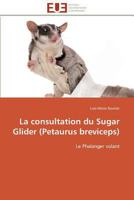 La Consultation Du Sugar Glider (Petaurus Breviceps) 3838180887 Book Cover