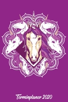 Terminplaner 2020: Wochenplaner zum notieren, organisieren und planen ca. DIN A5 6x9. Kalender / Terminkalender / Monats- / Tages�bersicht / Kontakt- / Geburtstags listen / Design: Einhorn Mandala Ein 1678373249 Book Cover