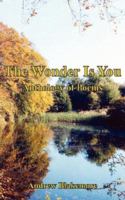 The Wonder is You B08H5DD74C Book Cover