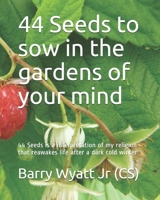 44 Seeds to sow in the gardens of your mind: 44 Seeds is a interpretation of my religion that reawakes life after a dark cold winter B0923WJ46B Book Cover
