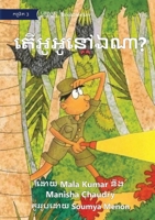 Where is Gogo? - តើអូអូនៅឯណា? 1922835897 Book Cover