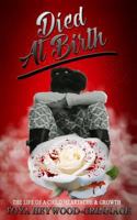 Died At Birth: A life of a child's heartache and growth 0997091843 Book Cover