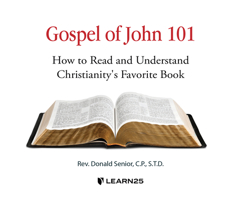 Gospel of John 101: How to Read and Understand Christianity's Favorite Book 1666522058 Book Cover