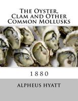 The Oyster, Clam, and Other Common Mollusks... 1974021955 Book Cover