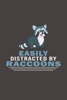 Easily Distracted By Raccoons: Funny Gift For Raccoon Lovers And Everyone Who Love Animals- Notebook, Planner Or Journal For Writing About Raccoons Or ... To Write In for School, Kids & Students 1673029620 Book Cover