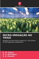MICRO-IRRIGAÇÃO NO TRIGO: Resposta do trigo (triticum aestivum l.) sob sistema de fertirrigação por gotejamento (Portuguese Edition) 6207603583 Book Cover