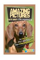 Amazing Pictures and Facts About Dachshunds : The Most Amazing Fact Book for Kids About Dachshunds (Kid's U) 1548907294 Book Cover