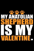 My Anatolian Shepherd Is My Valentine: Cool Anatolian Shepherd Dog Journal Notebook - Funny Anatolian Shepherd Dog Notebook - Anatolian Shepherd Owner Gifts. 6 x 9 in 120 pages 1675295786 Book Cover