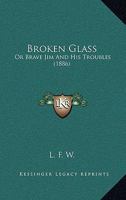 Broken Glass 117545494X Book Cover