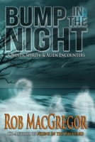 Bump in the Night 1941408575 Book Cover