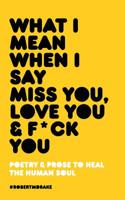What I Mean When I Say Miss You, Love You and Fuck You 1732690065 Book Cover