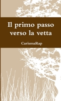 Il primo passo verso la vetta 1326472259 Book Cover