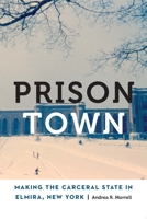 Prison Town: Making the Carceral State in Elmira, New York 1496243110 Book Cover