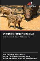 Diagnosi organizzativa (Italian Edition) 6208577942 Book Cover