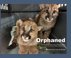 Orphaned: The Mountain Lion Cubs of Portola Valley: A Rescue Story of Hope and Survival B0FNQ4ZQZ6 Book Cover