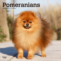 Pomeranians 2026 12 X 24 Inch (Hanging) Monthly Square Wall Calendar Plastic-Free B0DYKWJ9VM Book Cover