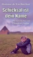 Schicksal ist dein Name: Die Geschichte von Pflegekind Destiny 3347217403 Book Cover