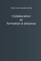 Collaboration et formation à distance B08RR9SC16 Book Cover