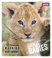 Animal Babies 1785941003 Book Cover