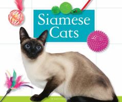 Siamese Cats 1626873879 Book Cover