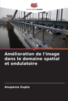 Amélioration de l'image dans le domaine spatial et ondulatoire (French Edition) 6200822816 Book Cover