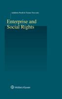 Enterprise and Social Rights 9041182349 Book Cover