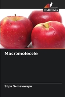 Macromolecole (Italian Edition) 6207990722 Book Cover