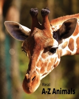 A-Z Animal Book Real Pictures With Facts B0C9SDHLWJ Book Cover