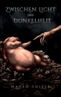 Zwischen Licht und Dunkelheit 3755708132 Book Cover