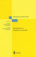 Hyperbolic Complex Spaces 3642083390 Book Cover