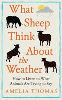 What Sheep Think About the Weather 1783969237 Book Cover