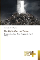 The Light After the Tunnel 6204187627 Book Cover