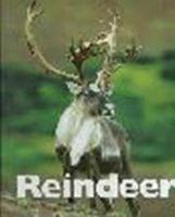 Reindeer (Naturebooks) 1567664911 Book Cover