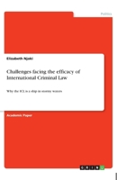 Challenges facing the efficacy of International Criminal Law 366889177X Book Cover