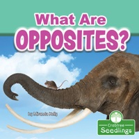 What Are Opposites? 1427128545 Book Cover