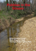 Pebbles in the Stream 1105554864 Book Cover
