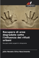 Recupero di aree degradate sotto l'influenza dei rifiuti urbani (Italian Edition) 6208275121 Book Cover