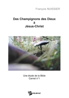 Des champignons des dieux à Jésus-Christ (French Edition) 274830408X Book Cover
