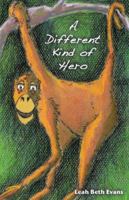 A Different Kind of Hero 097950452X Book Cover