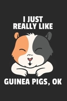 Meerschweinchen Notizbuch: Meerschweinchen Notizbuch für Liebhaber / Notizheft / Notizblock A5 (6x9in) Dotted Notebook / Punkteraster / 120 gepunktete Seiten (German Edition) 1671668502 Book Cover