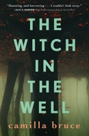 The Witch In The Well 1250302072 Book Cover